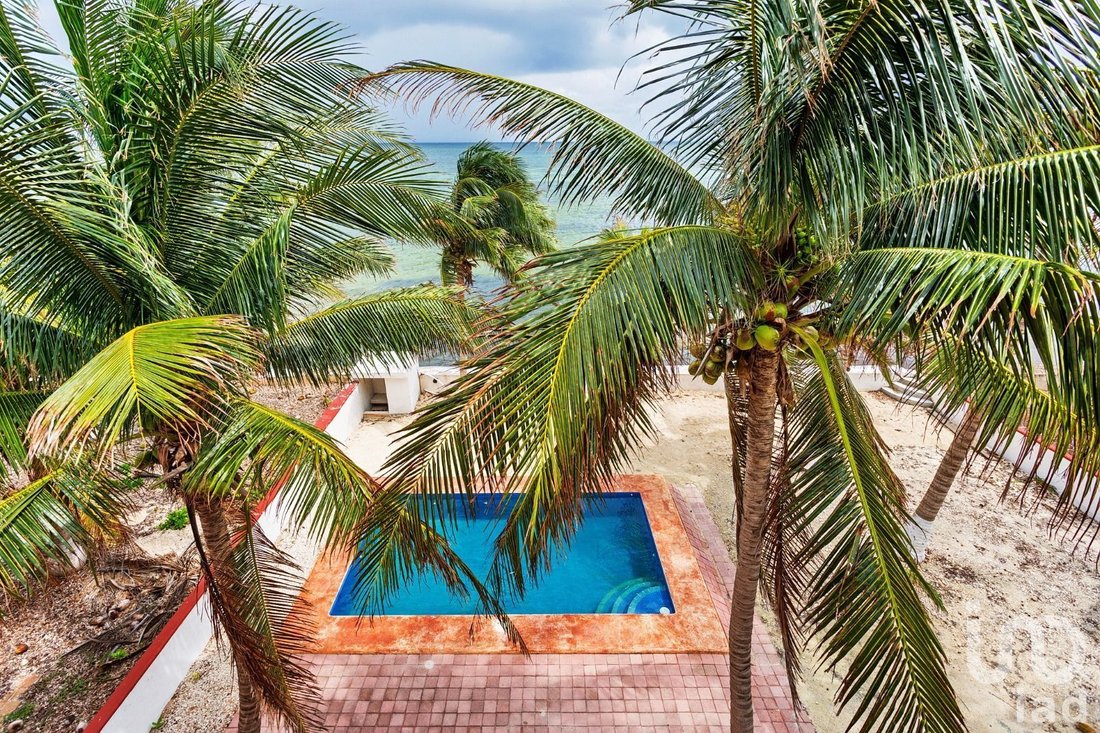 Casa in Puerto Morelos, Quintana Roo, Messico 1 - 15804067