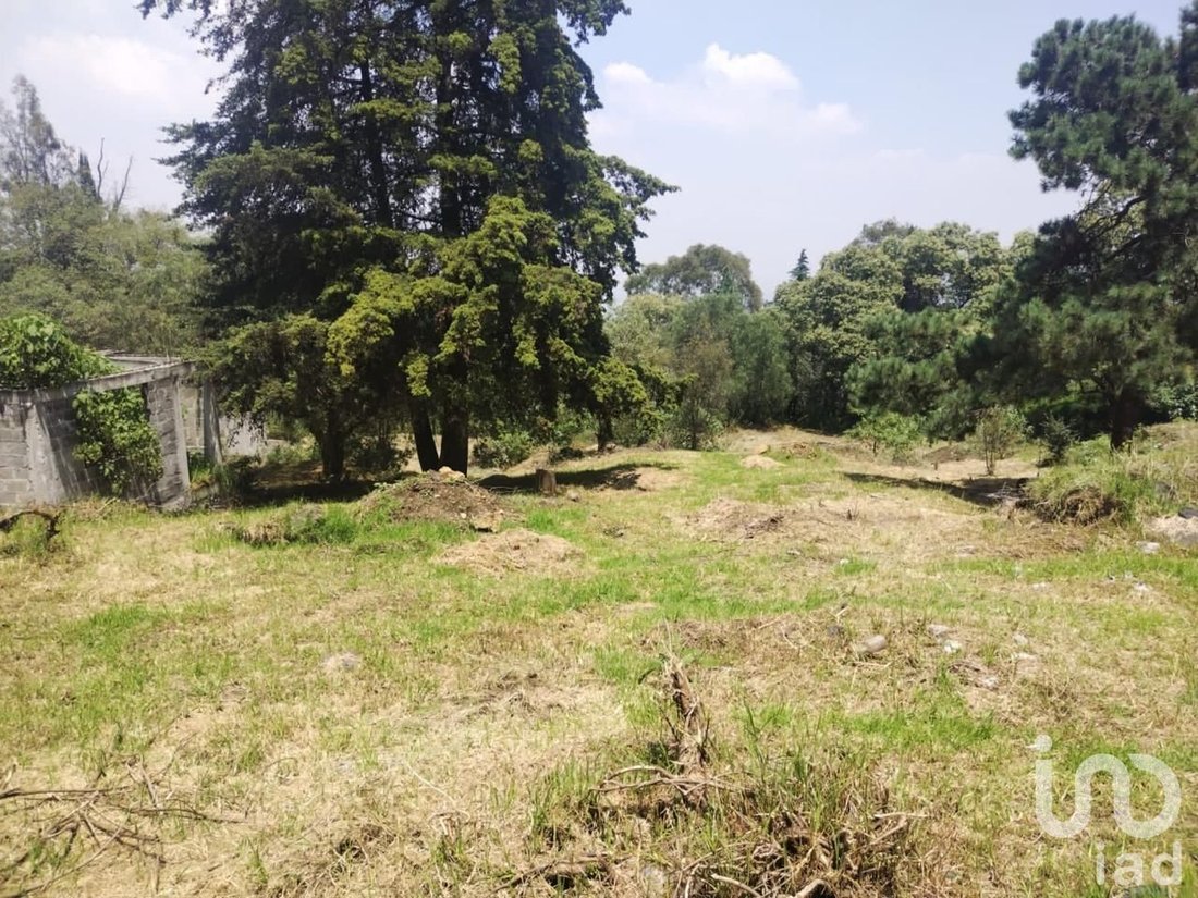 Land in Santa Catarina Yecahuitzotl, Mexico City, Mexico 2 - 15802938