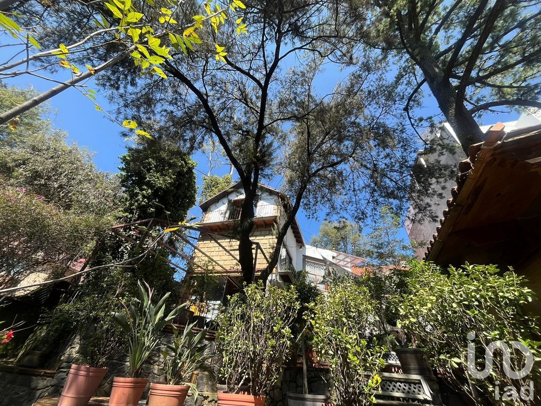 House in Mexico City, Mexico 1 - 15802618
