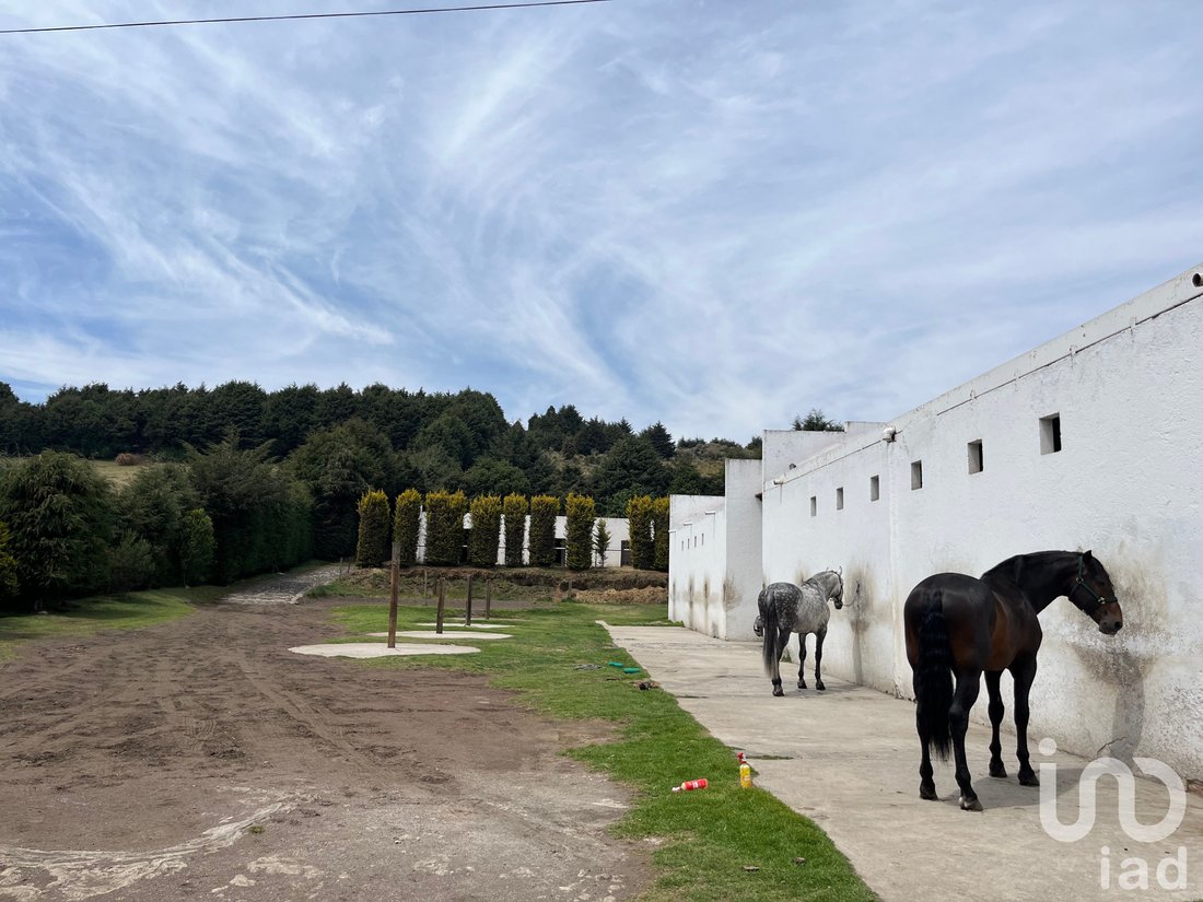 Farm Ranch in San Miguel Ajusco, Mexico City, Mexico 1 - 15803218