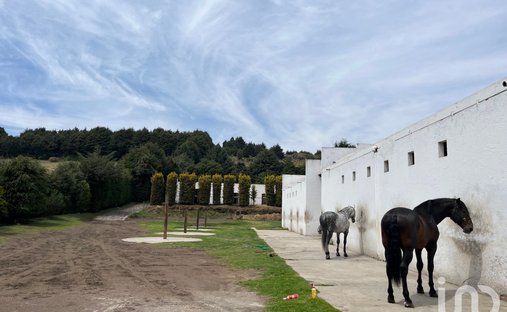 Farm Ranch in San Miguel Ajusco, Mexico City, Mexico 1