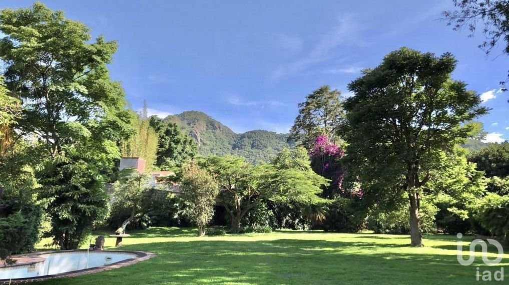 Land in Tepoztlán, Morelos, Mexico 1 - 15803528