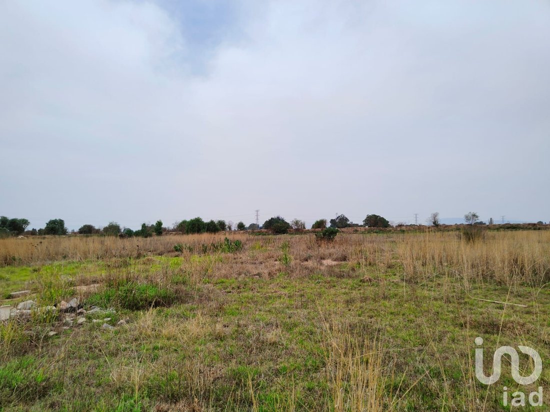 Land in Santa Cruz de Abajo, State of Mexico, Mexico 5 - 15804097