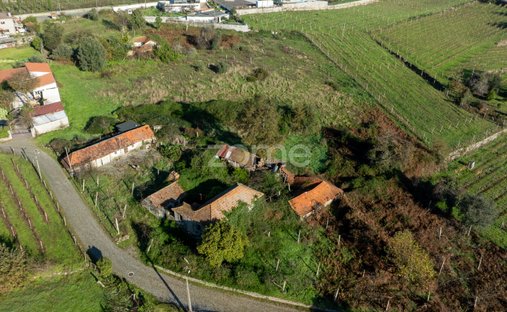 Terreno a Croca, Oporto, Portogallo 1