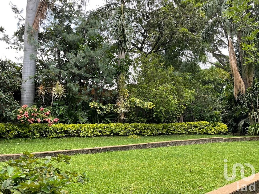 Terreno in Cuernavaca, Morelos, Messico 4 - 15804010