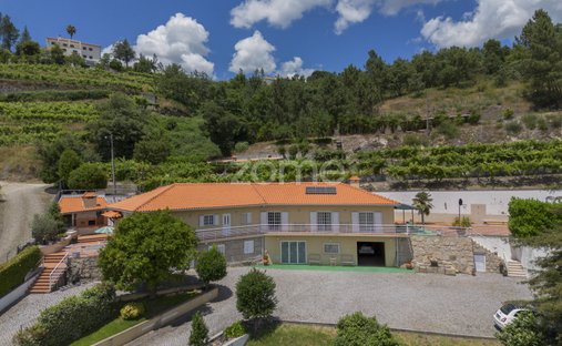Finca in Amarante, Distrikt Porto, Portugal 1