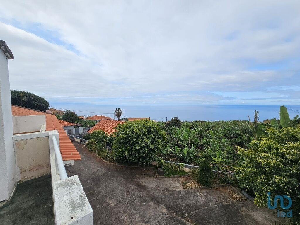 Haus in Estreito da Calheta, Autonome Region Madeira, Portugal 2 - 15800841