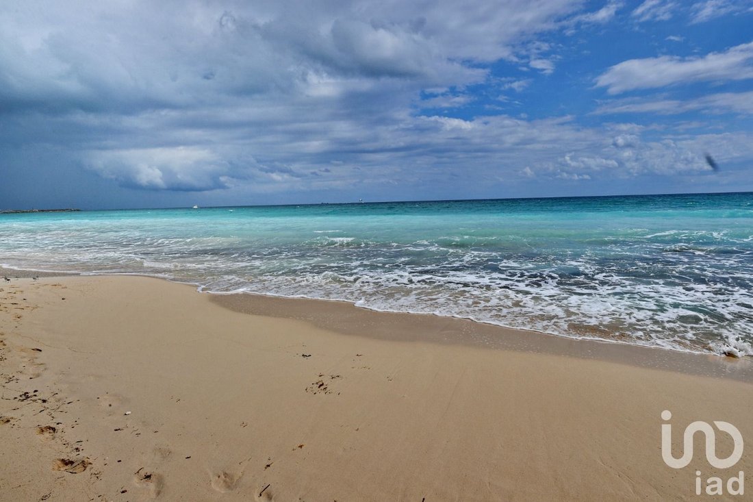 Land in Puerto Morelos, Quintana Roo, Mexico 2 - 15802981