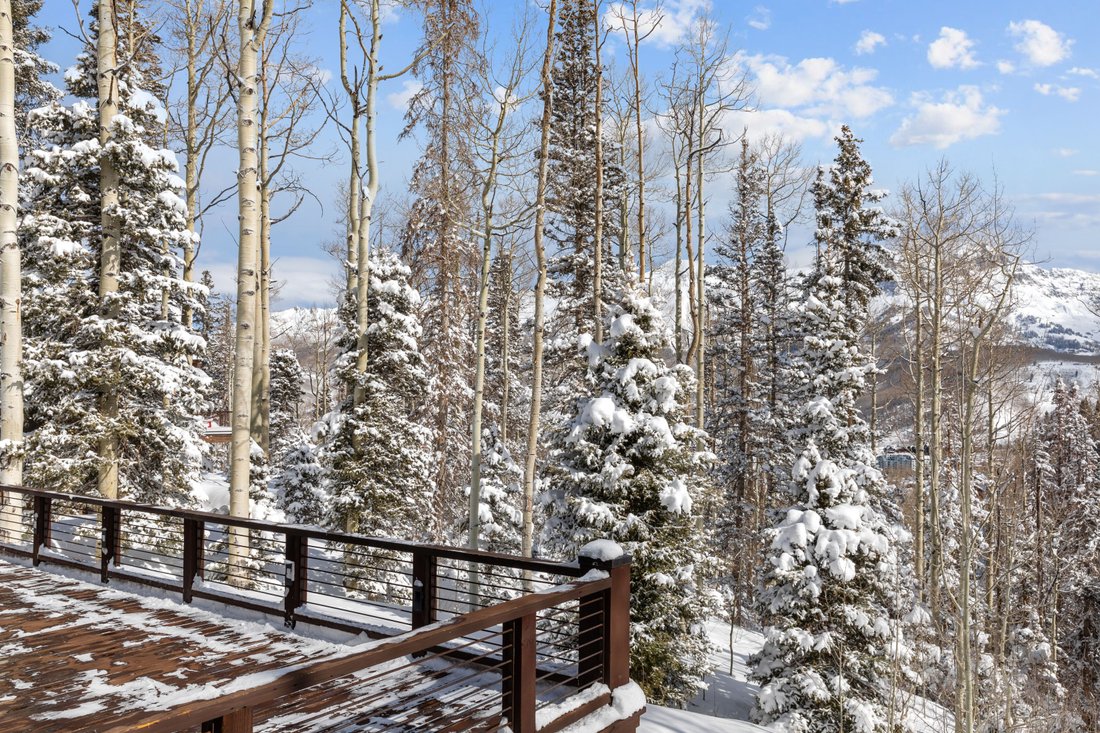 House in Mountain Village, Colorado, United States 5 - 15803660