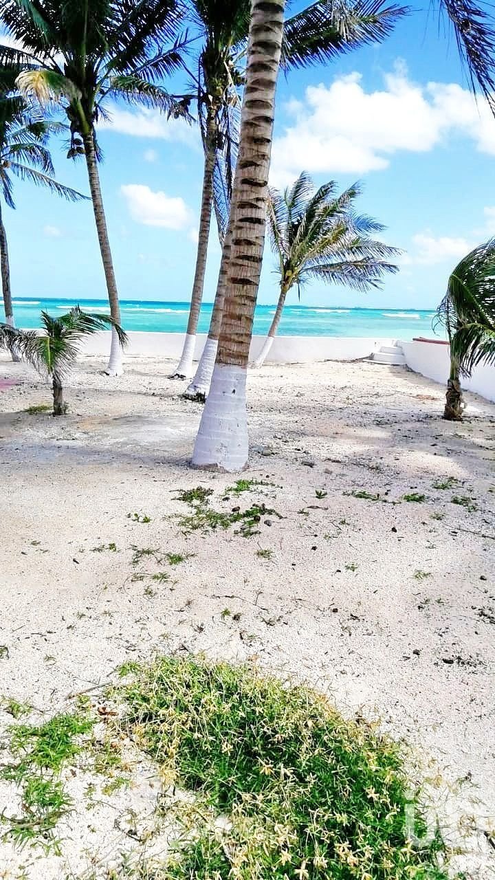 Terreno en Puerto Morelos, Quintana Roo, México 2 - 15804648