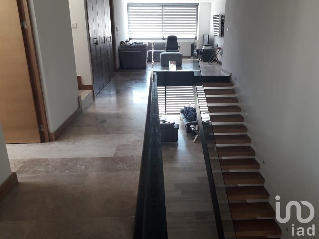 House in San Luis Potosí, San Luis Potosi, Mexico 1 - 15803276