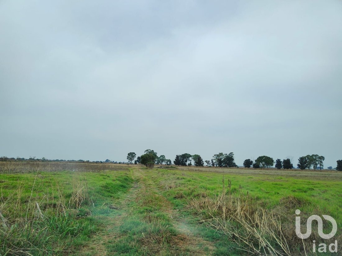 Land in Santa Cruz de Abajo, State of Mexico, Mexico 4 - 15804097