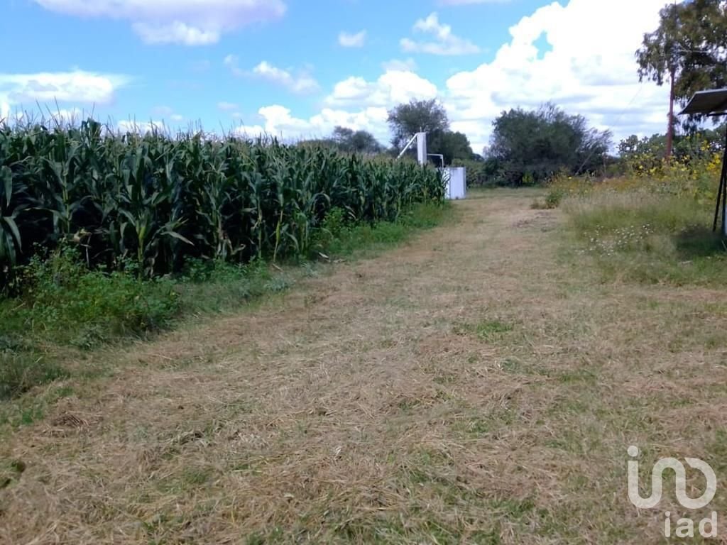 Farm Ranch in Aguascalientes, Aguascalientes, Mexico 2 - 15803711
