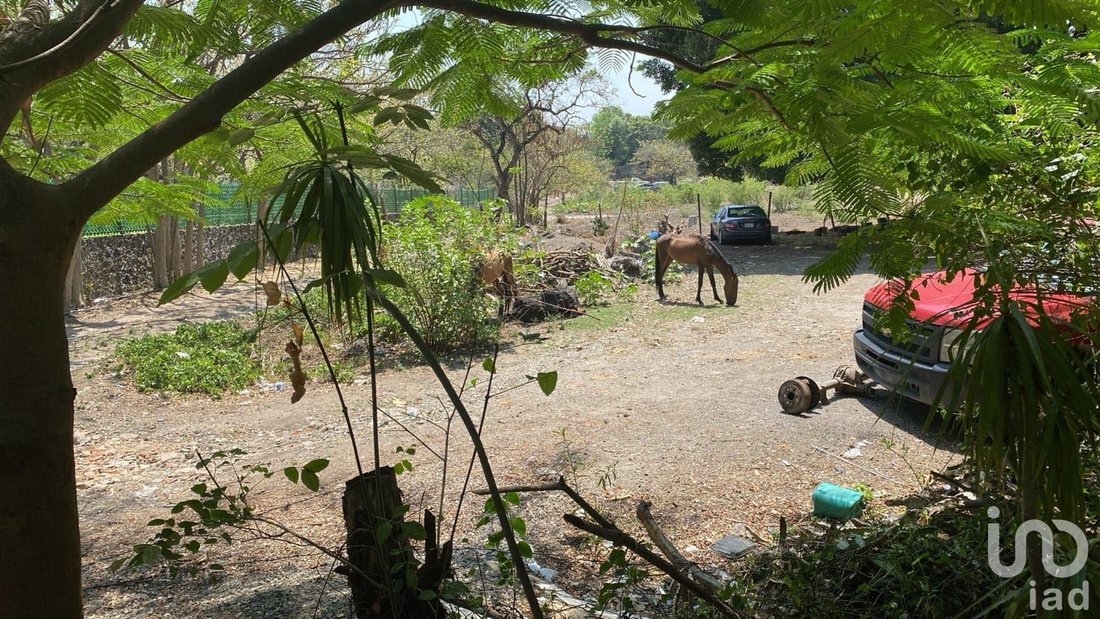 Land in Jiutepec, Morelos, Mexico 4 - 15803914