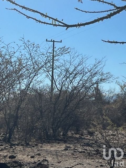 Land in Contlalco, Morelos, Mexico 4 - 15802487