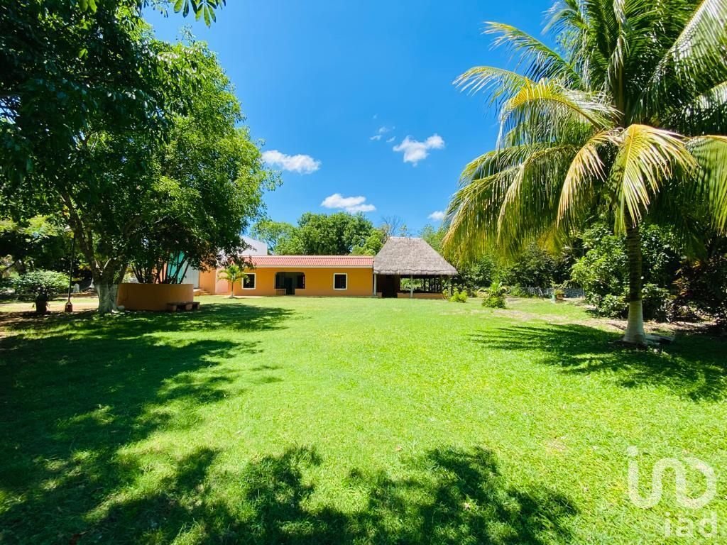 Farm Ranch in Sucilá, Yucatan, Mexico 1 - 15804464