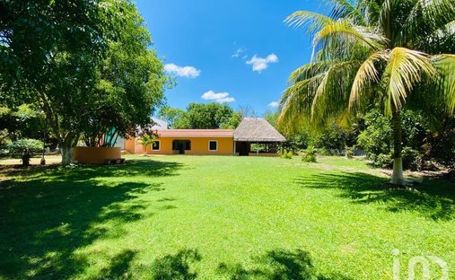 Farm Ranch in Sucilá, Yucatan, Mexico 1