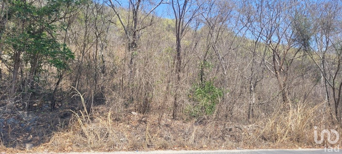 Land in Tuxtla Gutiérrez, Chiapas, Mexiko 2 - 15802393