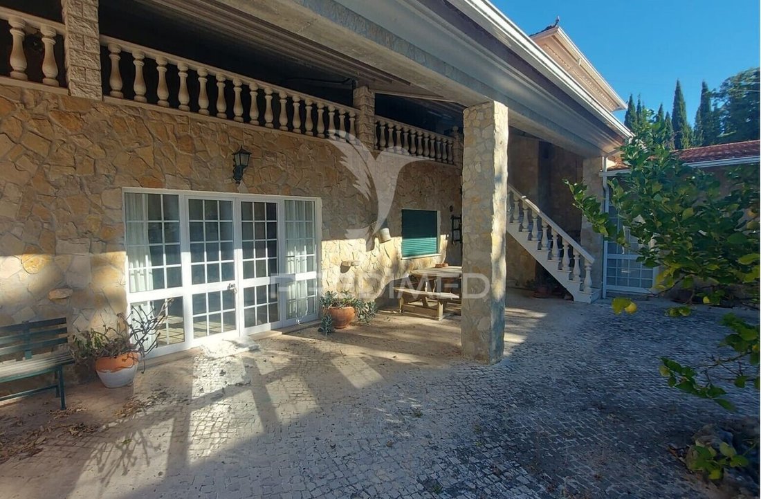 Farm Ranch in Romeira e Varzea, Santarem District, Portugal 5 - 14688030