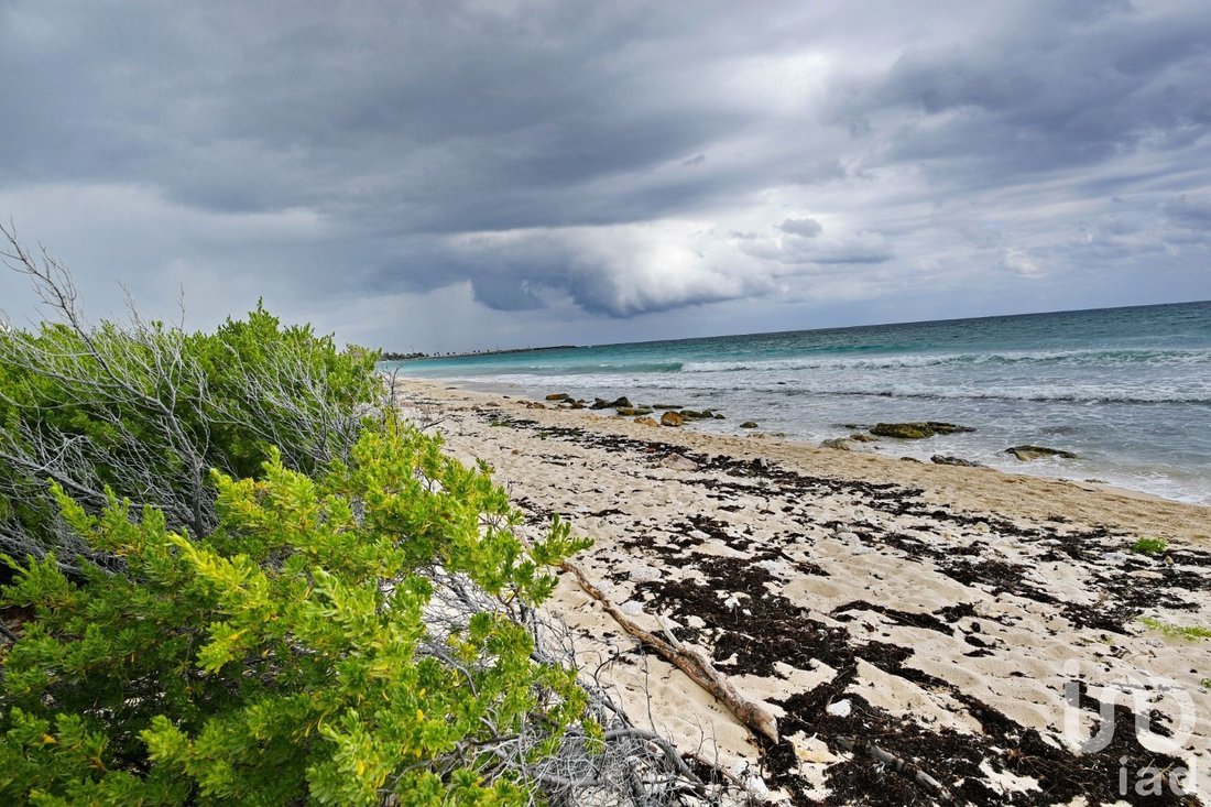 Land in Puerto Morelos, Quintana Roo, Mexico 5 - 15802981
