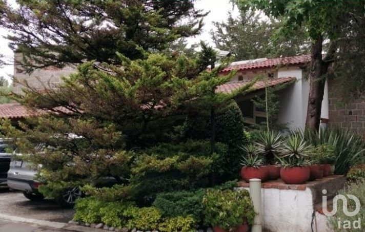 House in Mexico City, Mexico 3 - 15804059