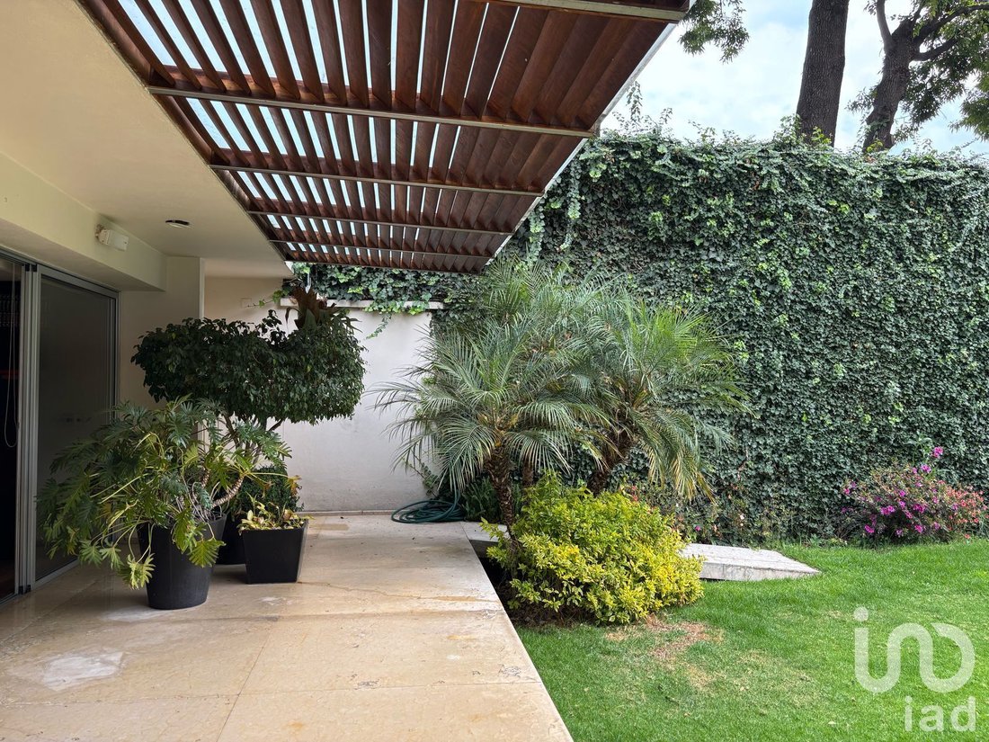 House in Mexico City, Mexico 3 - 15804286