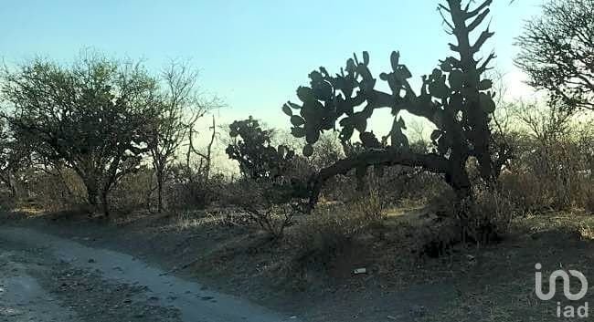 Land in Estancia de Canal, Guanajuato, Mexico 5 - 15804434