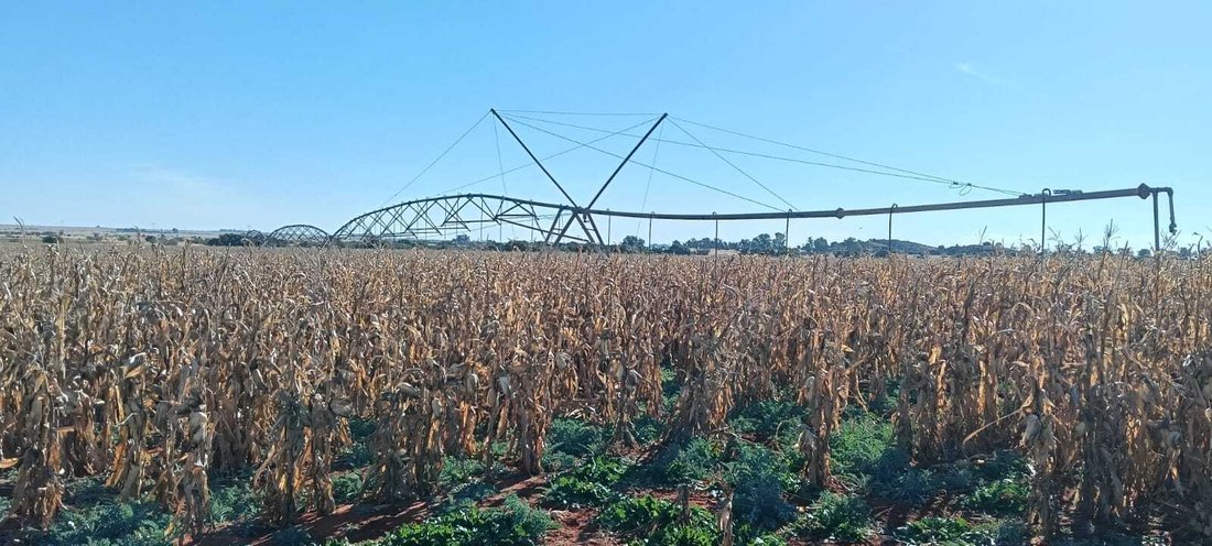 Farm Ranch in Petrusburg, Free State, South Africa 2 - 15802355