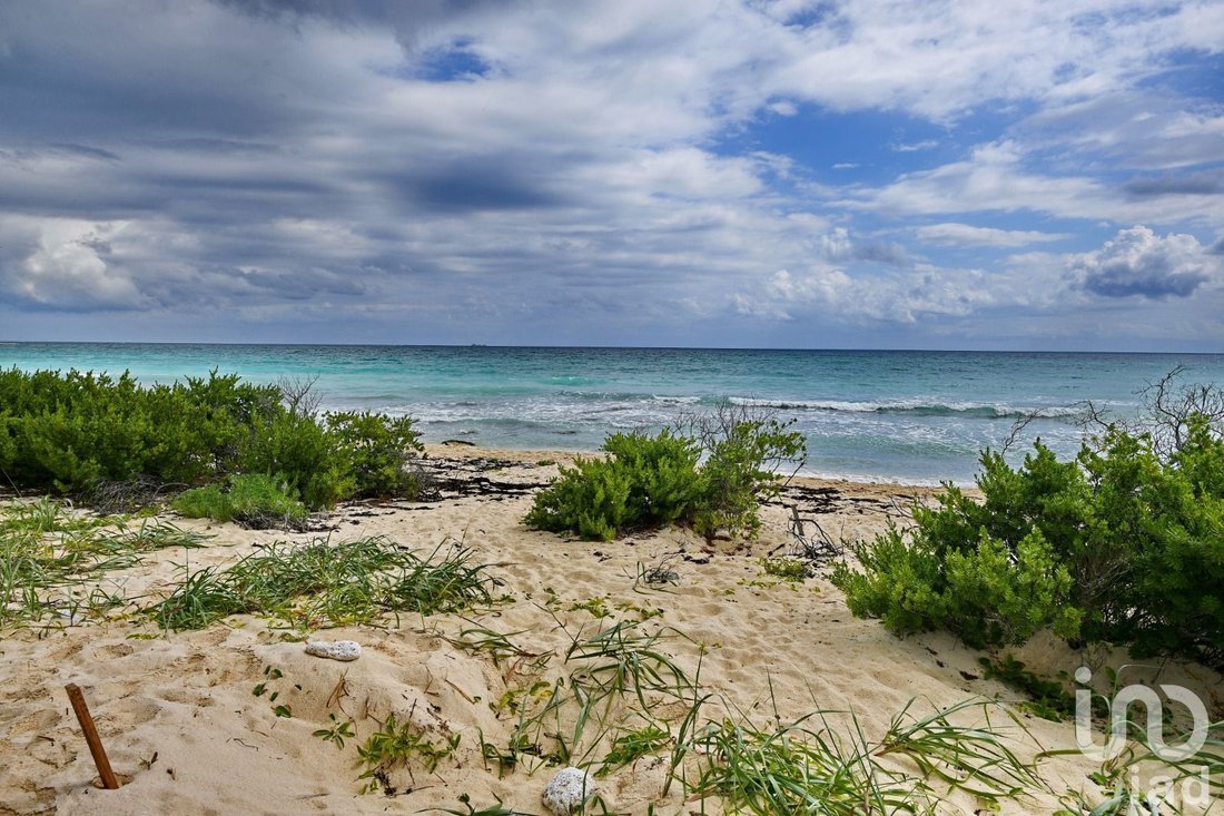 Land in Puerto Morelos, Quintana Roo, Mexico 3 - 15802981