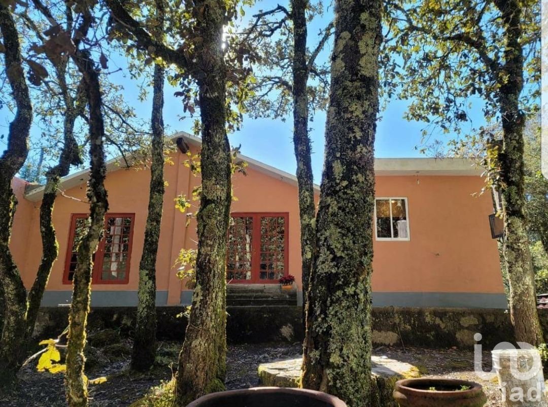 Farm Ranch in Pueblo Nuevo, Hidalgo, Mexico 1 - 15804185