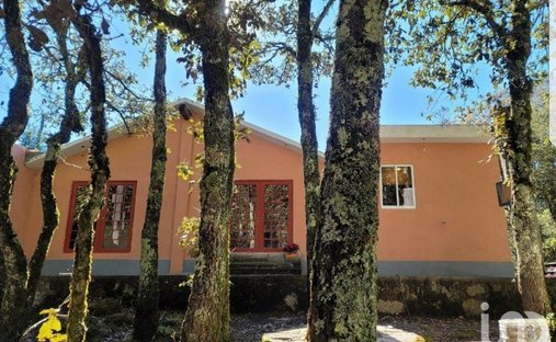 Farm Ranch in Pueblo Nuevo, Hidalgo, Mexiko 1