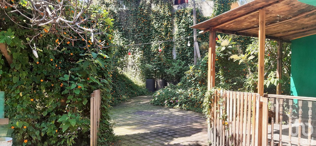 House in Santa Catarina Yecahuitzotl, Mexico City, Mexico 2 - 15804001