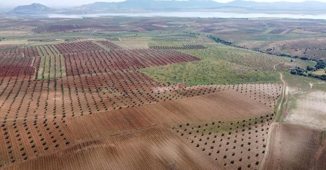 Land in Alange, Extremadura, Spain 2 - 15805277