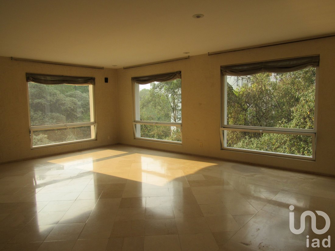 Apartment in Mexico City, Mexico 4 - 15802959