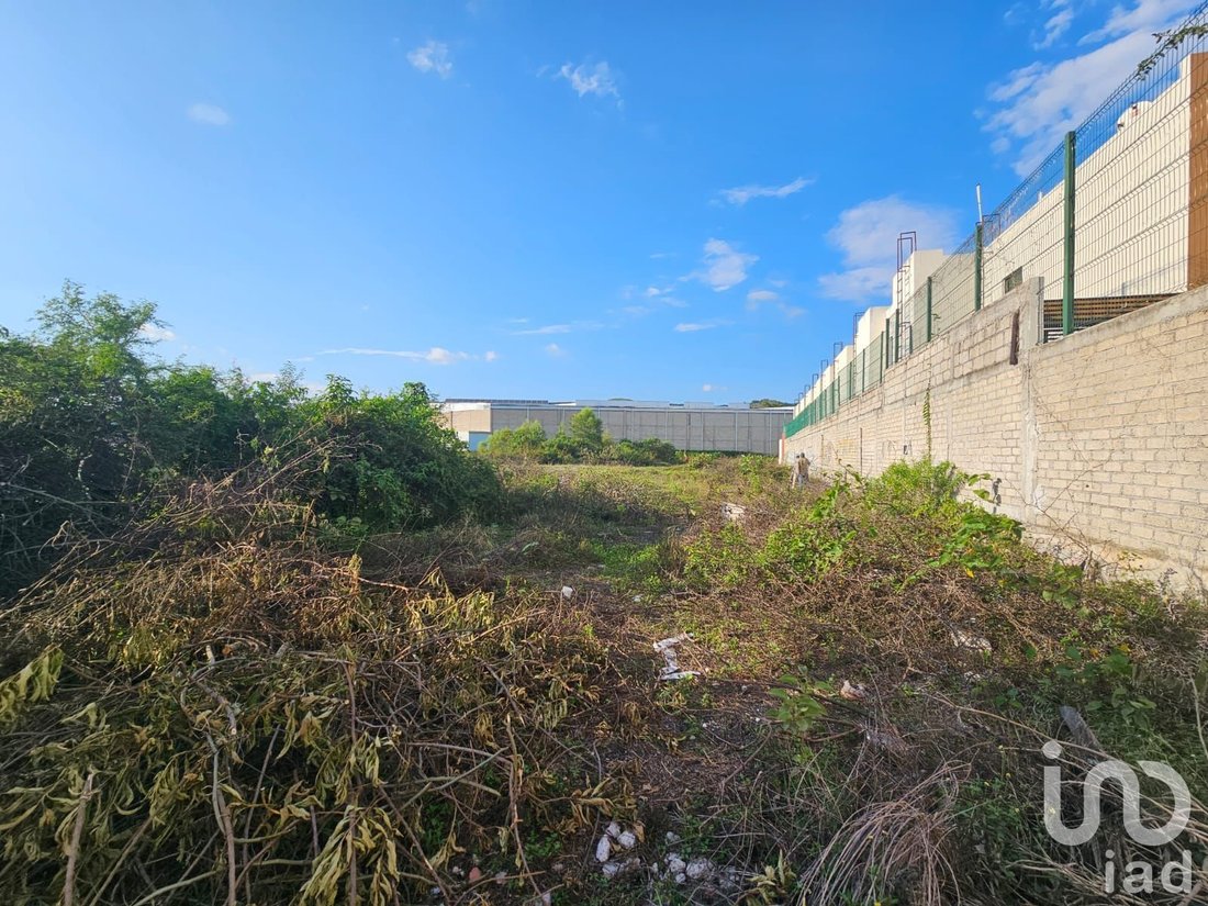 Terrain en Tepic, Nayarit, Mexique 4 - 15804893