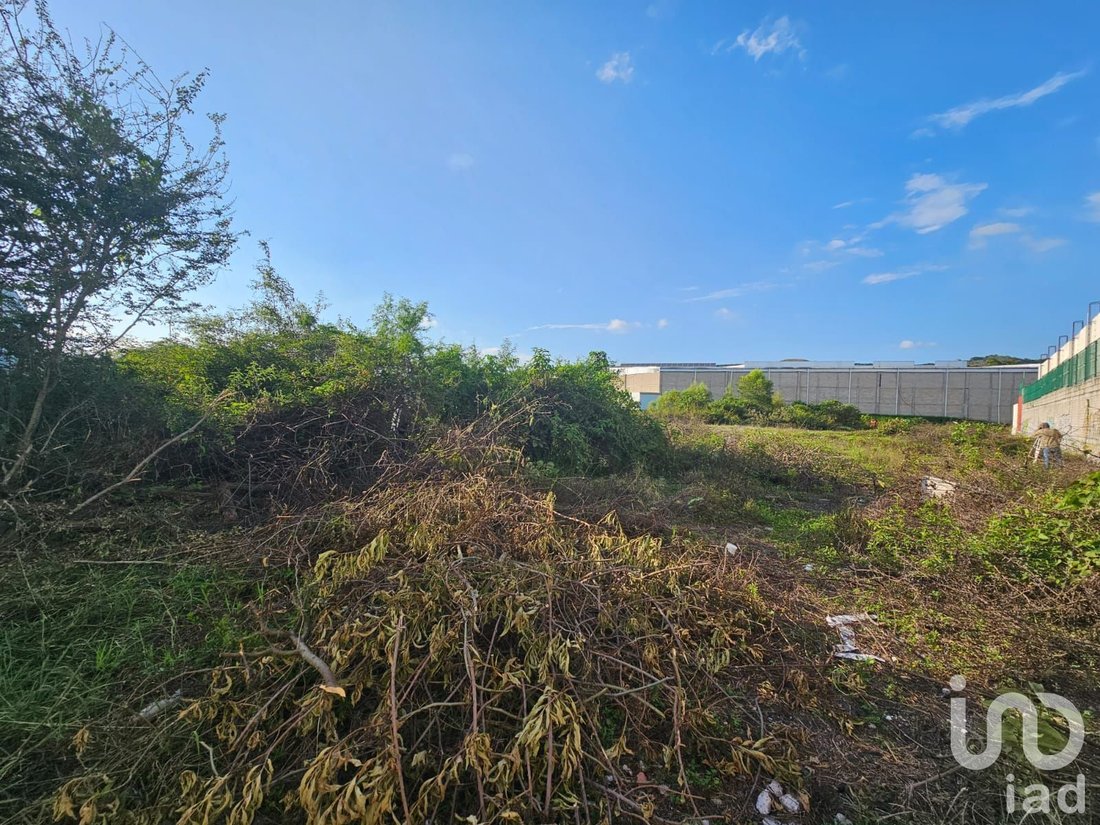 Terrain en Tepic, Nayarit, Mexique 5 - 15804893
