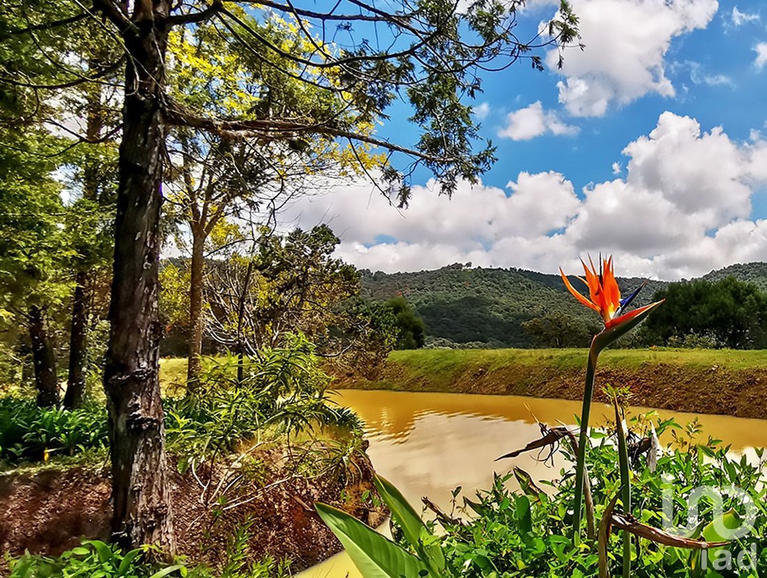 Farm Ranch in Cochisquila, State of Mexico, Mexico 1 - 15804502