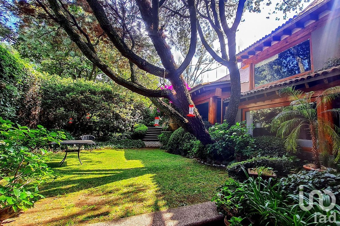 House in Santa Catarina Yecahuitzotl, Mexico City, Mexico 4 - 15804427
