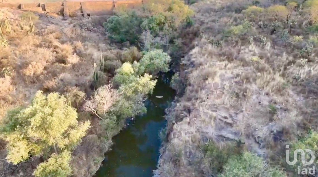 Farm Ranch in Centro de Arriba, Aguascalientes, Mexico 4 - 15803696