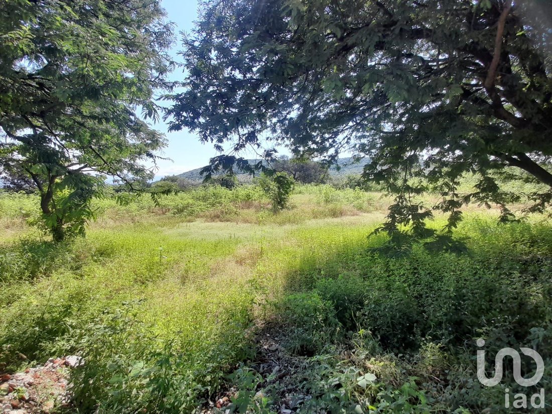 Land in Alpuyeca, Morelos, Mexico 2 - 15804709