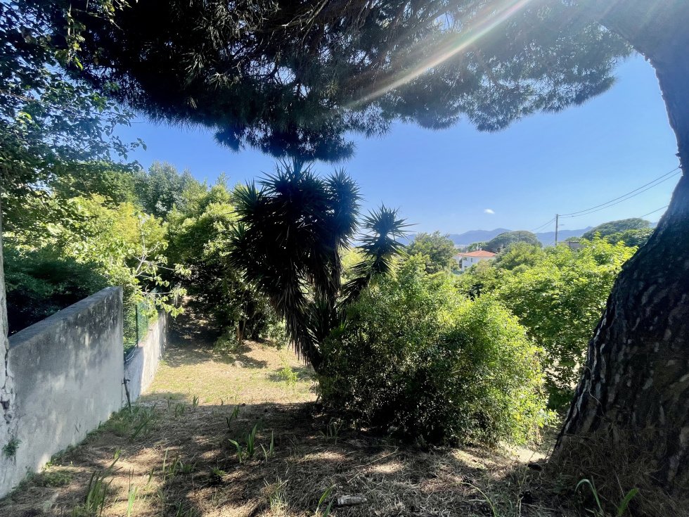 Land in Cannes, Provence-Alpes-Côte d'Azur, France 4 - 15805009