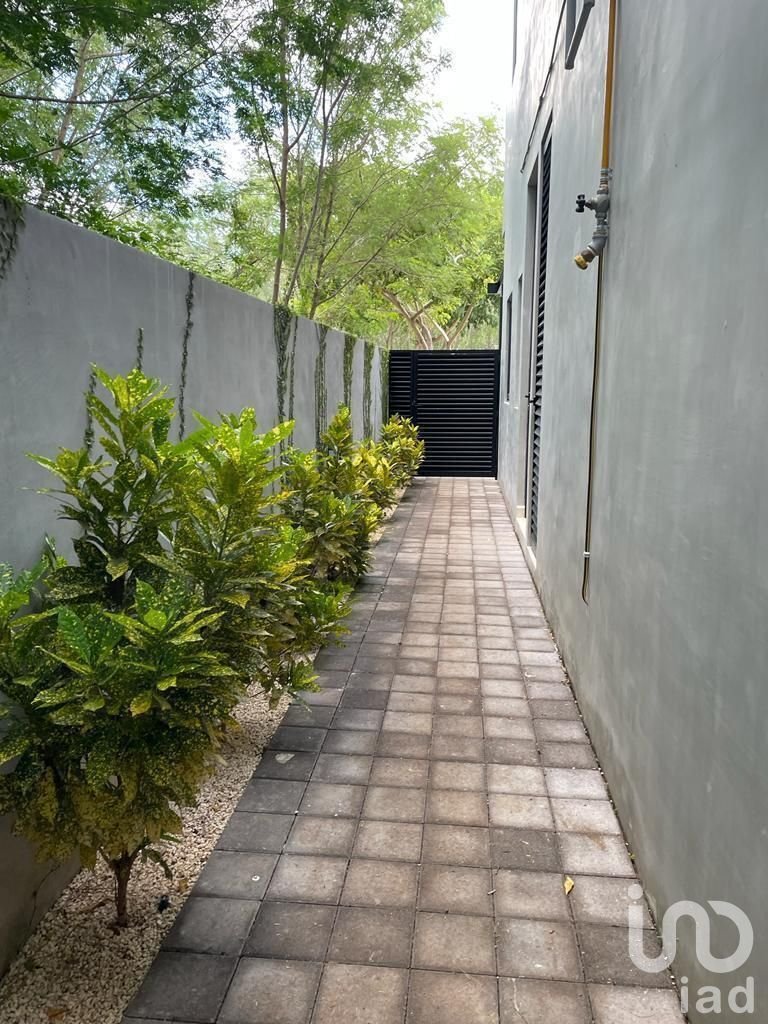 House in Mérida, Yucatan, Mexico 4 - 15804440