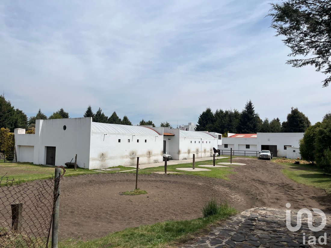Farm Ranch in San Miguel Ajusco, Mexico City, Mexico 3 - 15803218