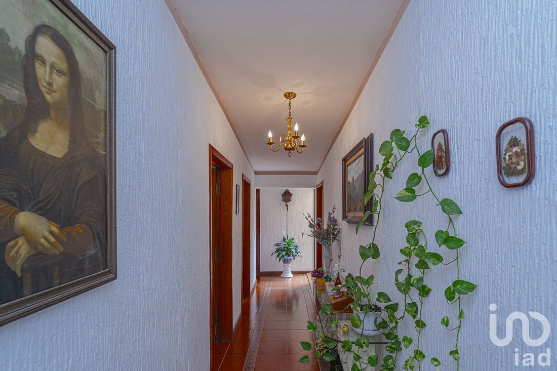House in Cuernavaca, Morelos, Mexico 5 - 15804240