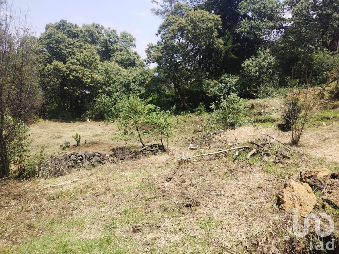 Land in Santa Catarina Yecahuitzotl, Mexico City, Mexico 4 - 15802938