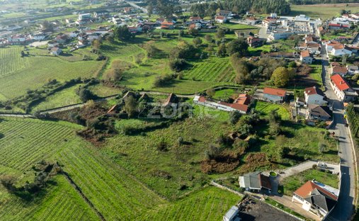 Land in Croca, Porto District, Portugal 1