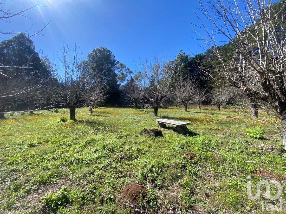Land in San Cristobal de las Casas, Chiapas, Mexico 1 - 15803936