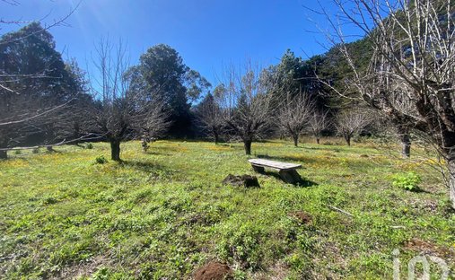 Land in San Cristóbal de las Casas, Chiapas, Mexiko 1