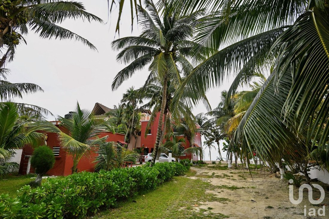 Casa in Puerto Morelos, Quintana Roo, Messico 2 - 15804067