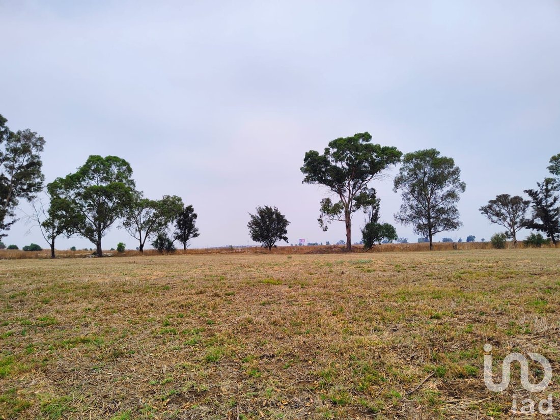 Land in Santa Cruz de Abajo, State of Mexico, Mexico 3 - 15804097